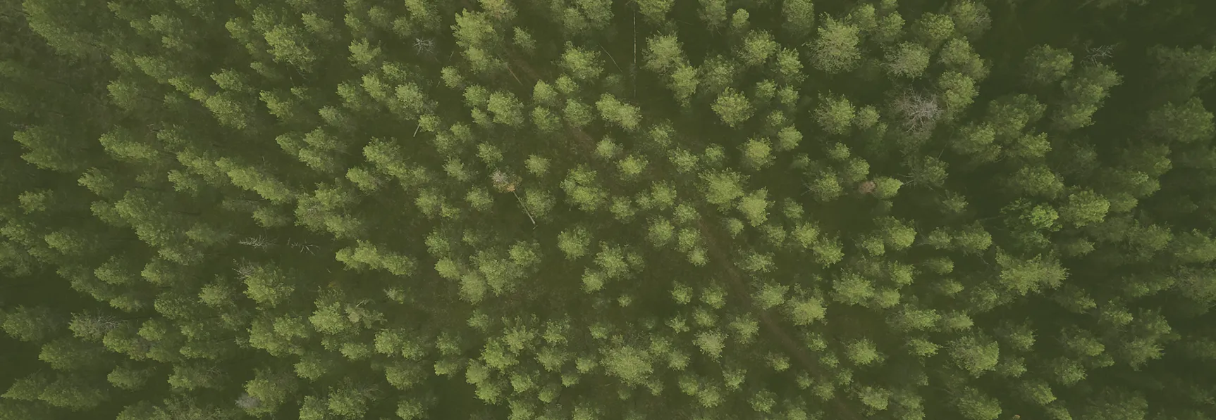 Transparency in drone operations