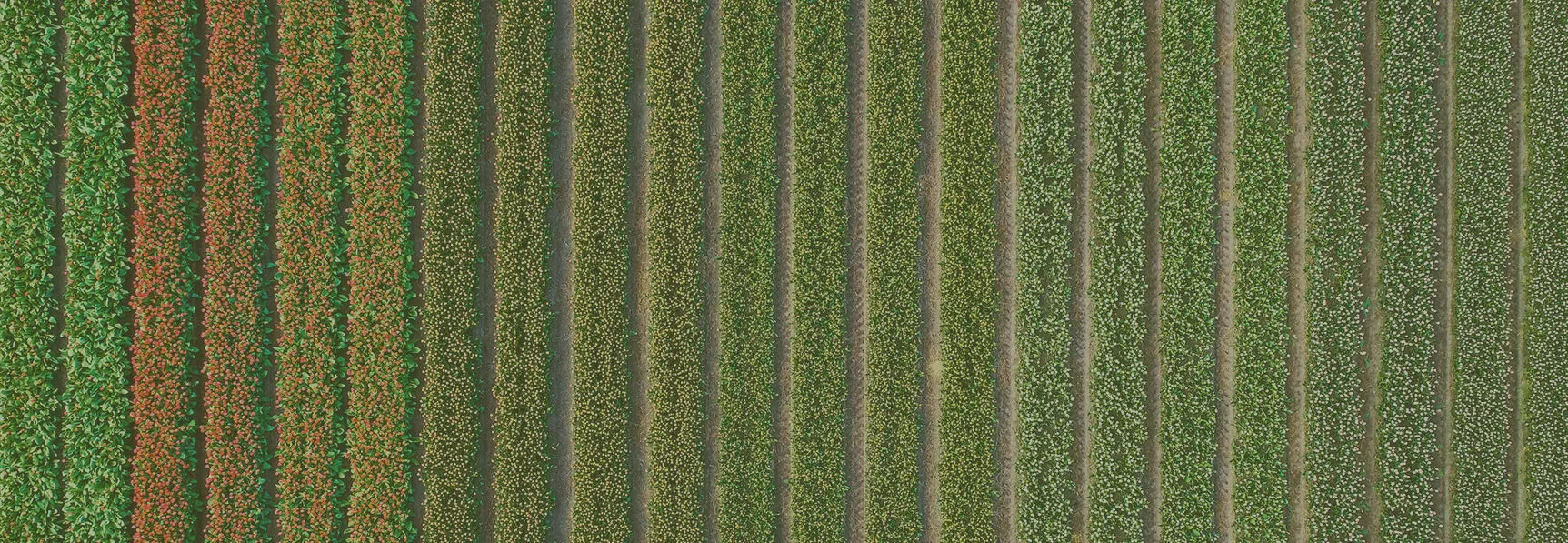 One Tools Page. Because that’s logical