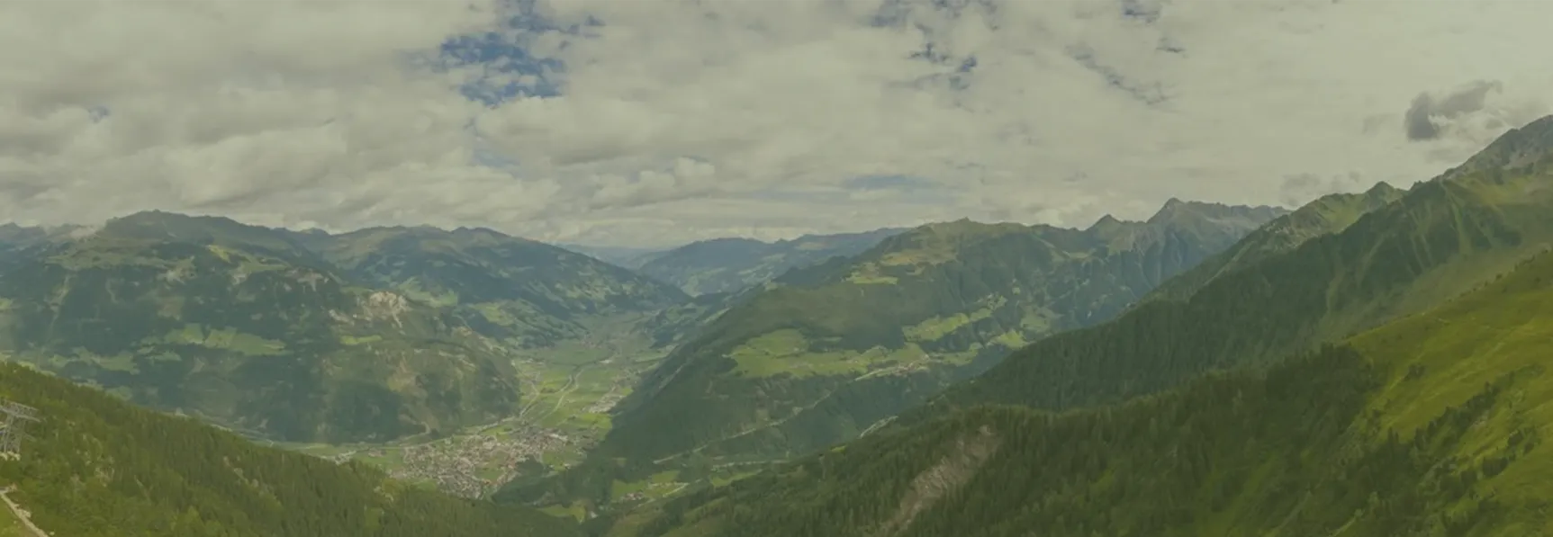 So many types of users